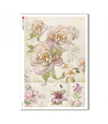 Premium Rice Paper - Flowers-0214 - 1 Design of A4